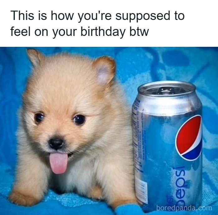 Wait, They Actually Ranked These Cringe Posts?! Prepare to Laugh and Squirm