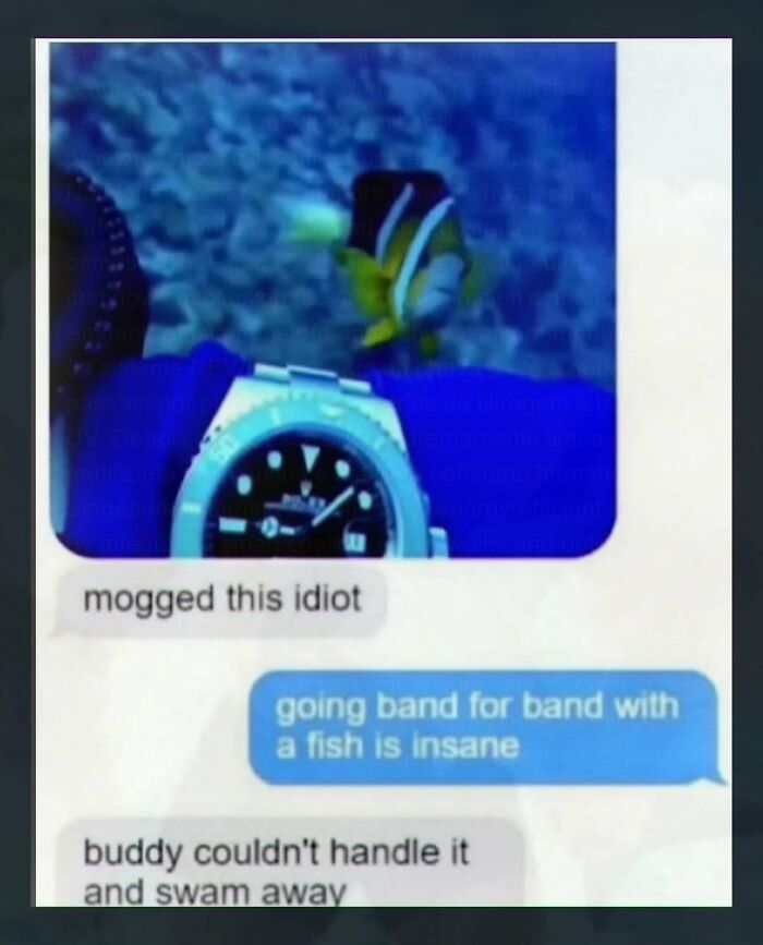 Wait, They Actually Ranked These Cringe Posts?! Prepare to Laugh and Squirm