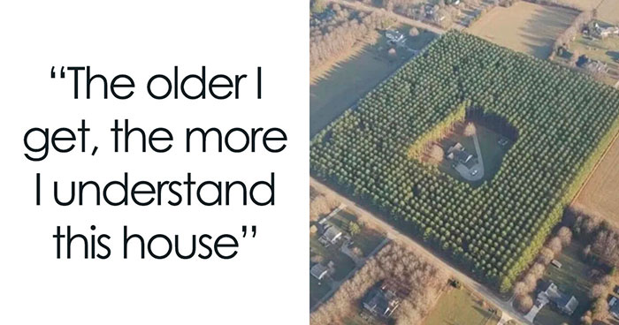 The Ultimate Meme Scroll: 50 Random LOLs That’ll Totally Make Your Day