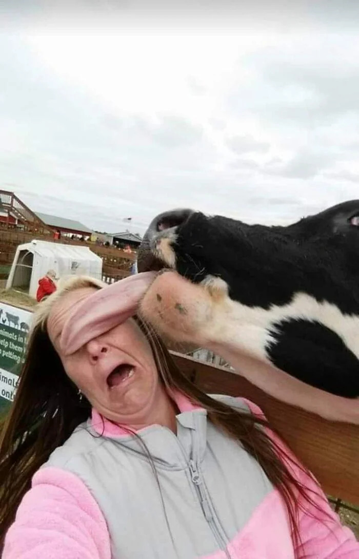 MooooOooOoo *slurp* *slurp* OoOoOo