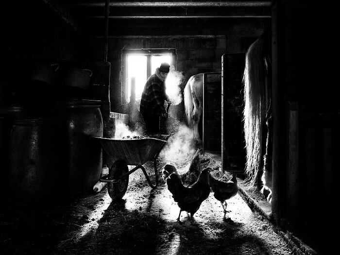Wait, They Snapped These Magical Moments Before They Vanished? (19 Pics)
