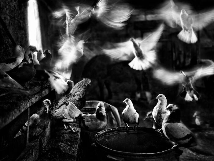 Wait, They Snapped These Magical Moments Before They Vanished? (19 Pics)
