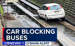 Wait, They Parked *There*?! 92 Hilariously Bad Parking Fails You’ve Gotta See