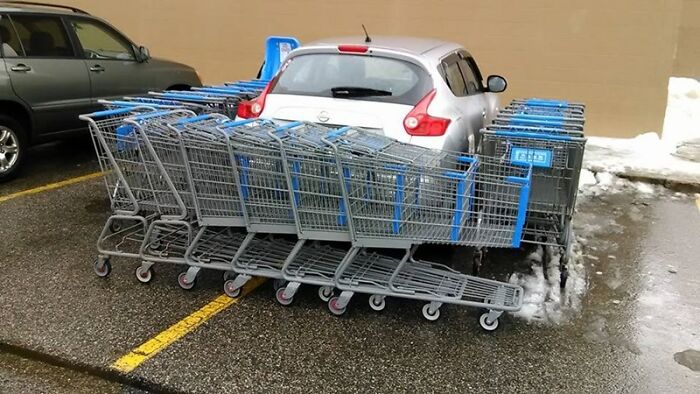 Mob Justice: Shopping Carts to the Rescue!