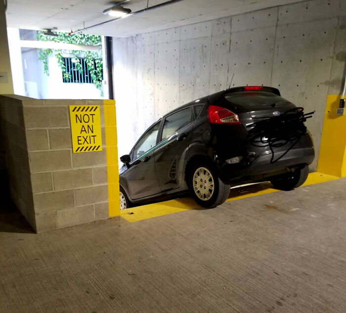 Wait, They Parked *There*?! 92 Hilariously Bad Parking Fails You’ve Gotta See