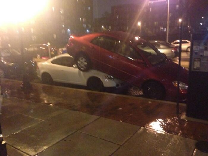 Wait, They Parked *There*?! 92 Hilariously Bad Parking Fails You’ve Gotta See