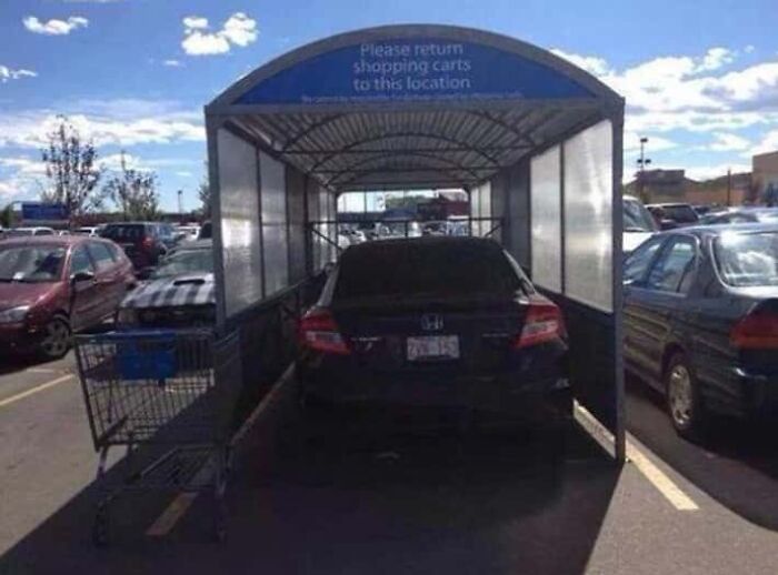 Wait, They Parked *There*?! 92 Hilariously Bad Parking Fails You’ve Gotta See