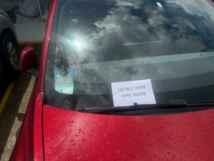 Wait, They Parked *There*?! 92 Hilariously Bad Parking Fails You’ve Gotta See