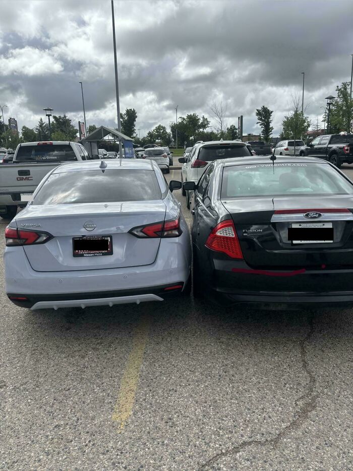 Wait, They Parked *There*?! 92 Hilariously Bad Parking Fails You’ve Gotta See