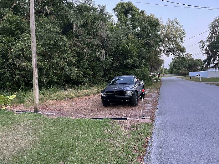 Wait, They Parked *There*?! 92 Hilariously Bad Parking Fails You’ve Gotta See