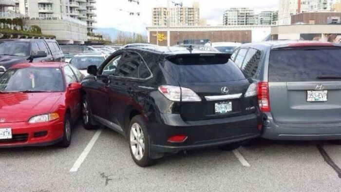 Wait, They Parked *There*?! 92 Hilariously Bad Parking Fails You’ve Gotta See