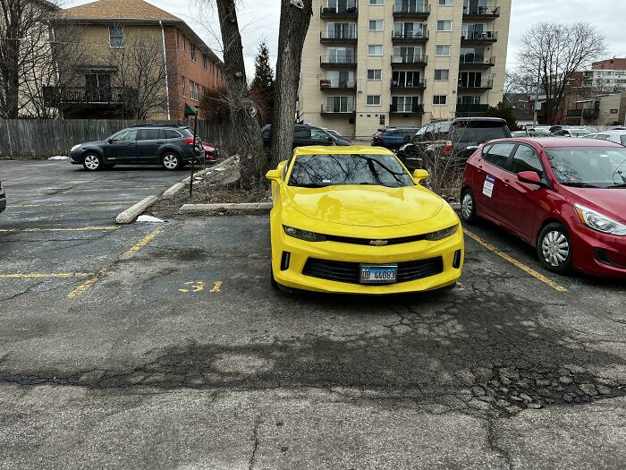 Wait, They Parked *There*?! 92 Hilariously Bad Parking Fails You’ve Gotta See