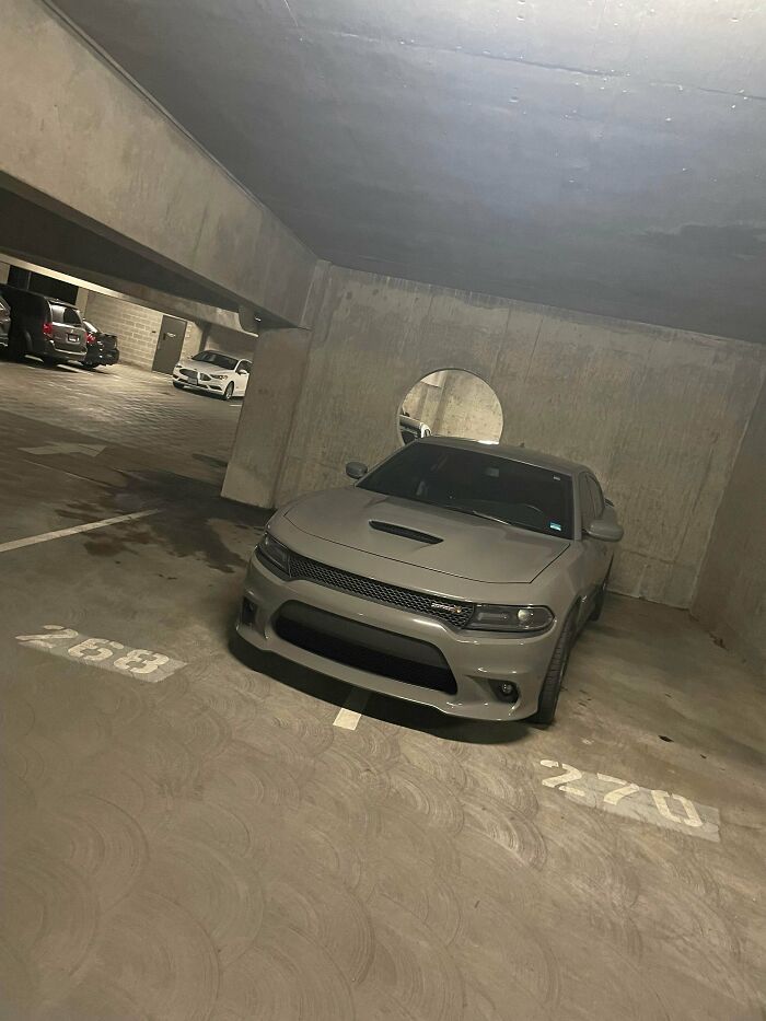 Wait, They Parked *There*?! 92 Hilariously Bad Parking Fails You’ve Gotta See