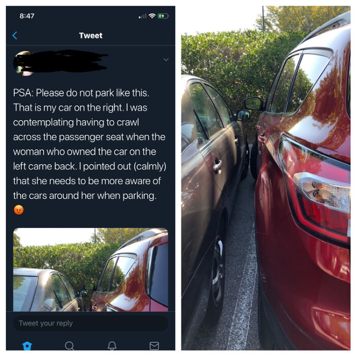 Wait, They Parked *There*?! 92 Hilariously Bad Parking Fails You’ve Gotta See