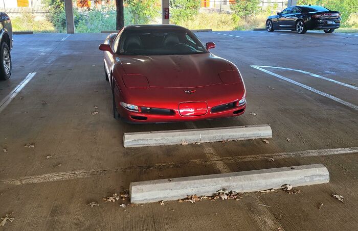Wait, They Parked *There*?! 92 Hilariously Bad Parking Fails You’ve Gotta See