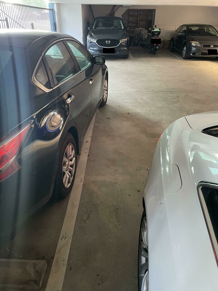 Wait, They Parked *There*?! 92 Hilariously Bad Parking Fails You’ve Gotta See