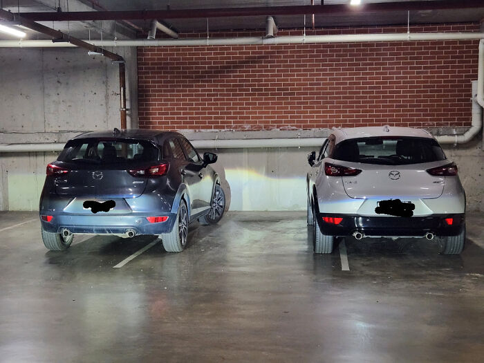 Wait, They Parked *There*?! 92 Hilariously Bad Parking Fails You’ve Gotta See