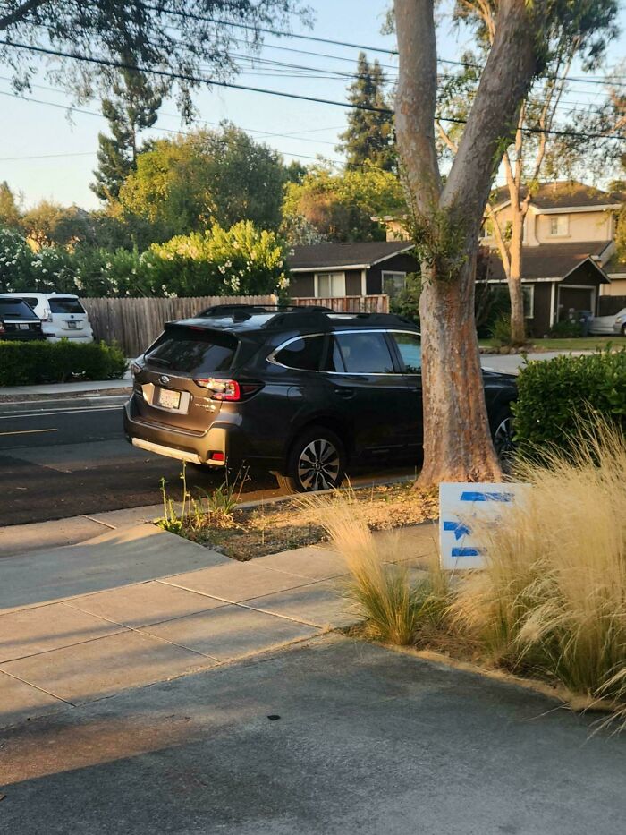 Wait, They Parked *There*?! 92 Hilariously Bad Parking Fails You’ve Gotta See