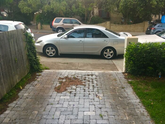 Wait, They Parked *There*?! 92 Hilariously Bad Parking Fails You’ve Gotta See
