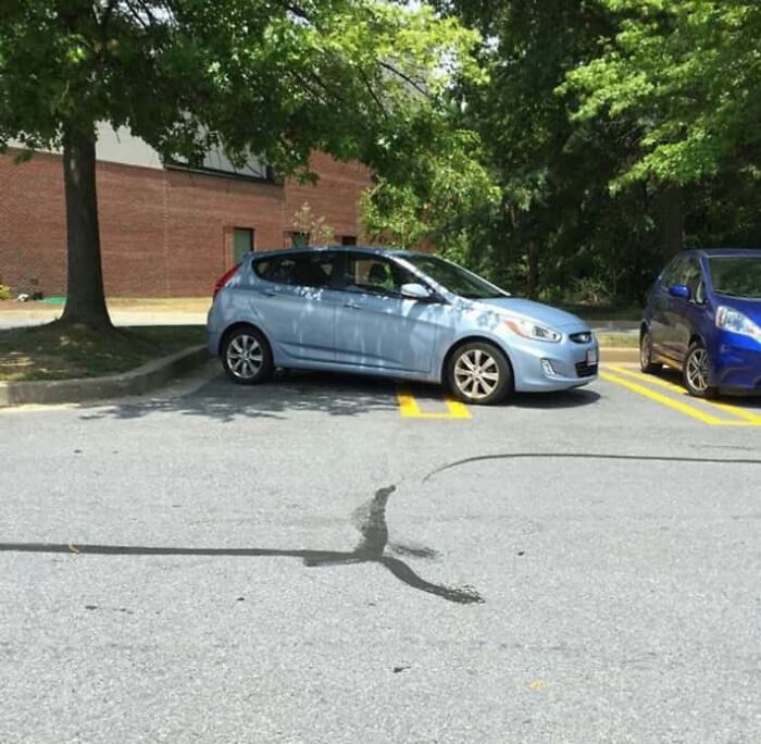 Wait, They Parked *There*?! 92 Hilariously Bad Parking Fails You’ve Gotta See