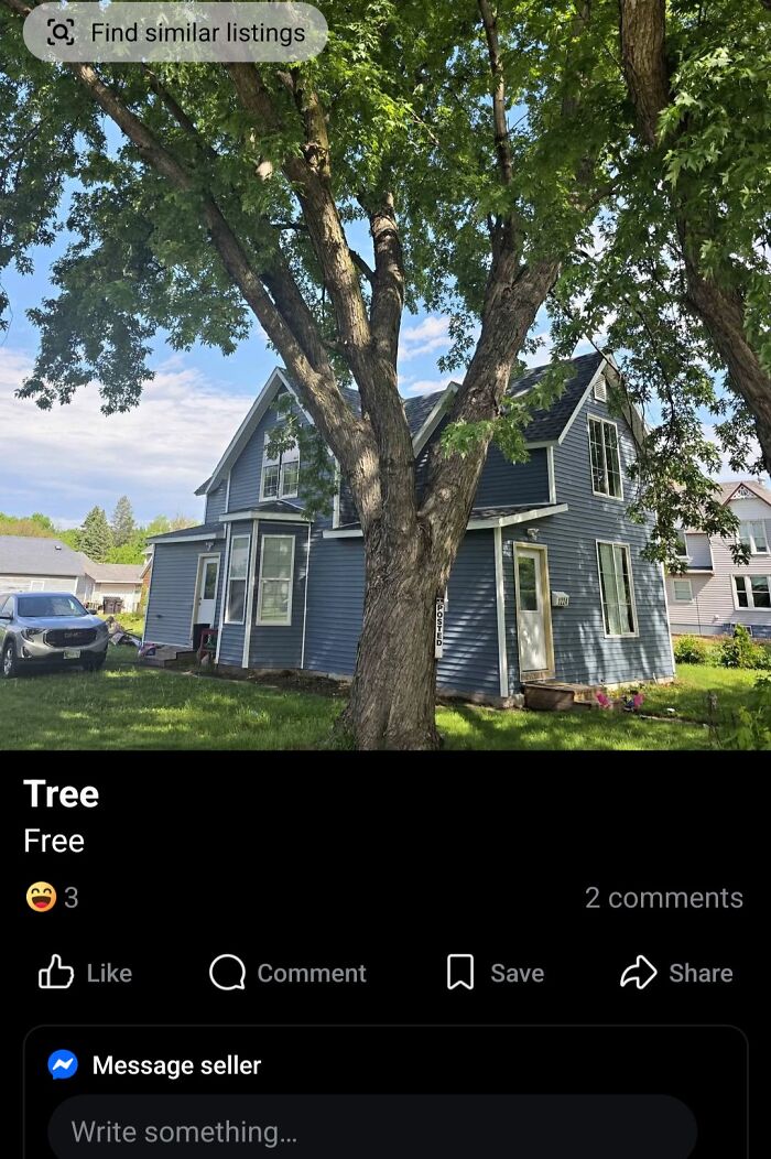 Free Tree? Seems Legit