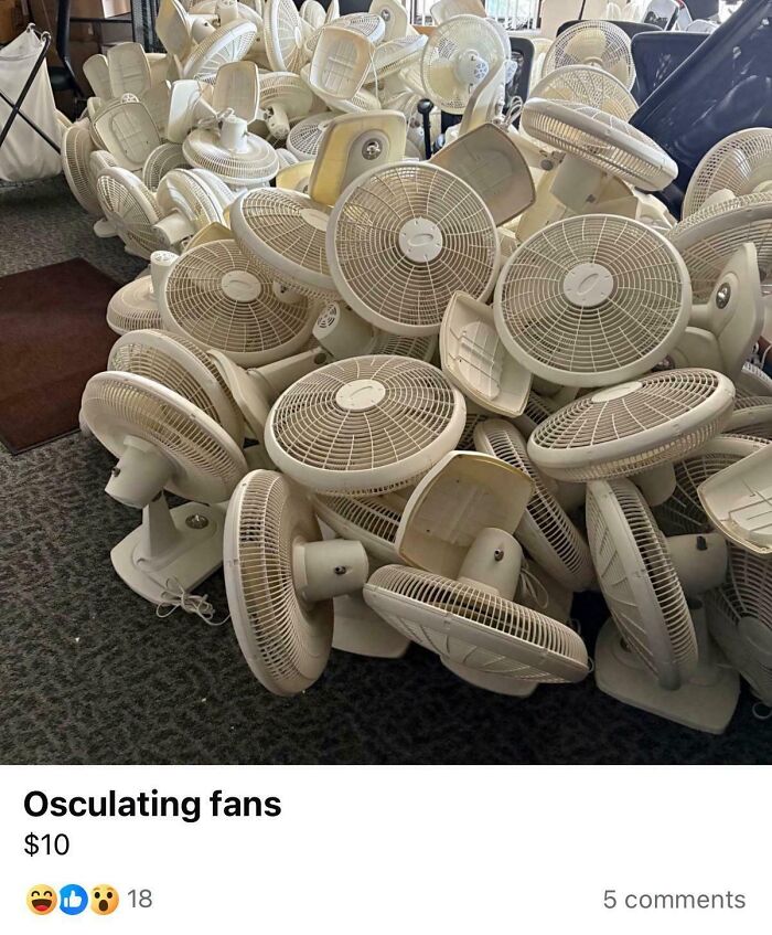 That’s One Heck of a Fan Collection!