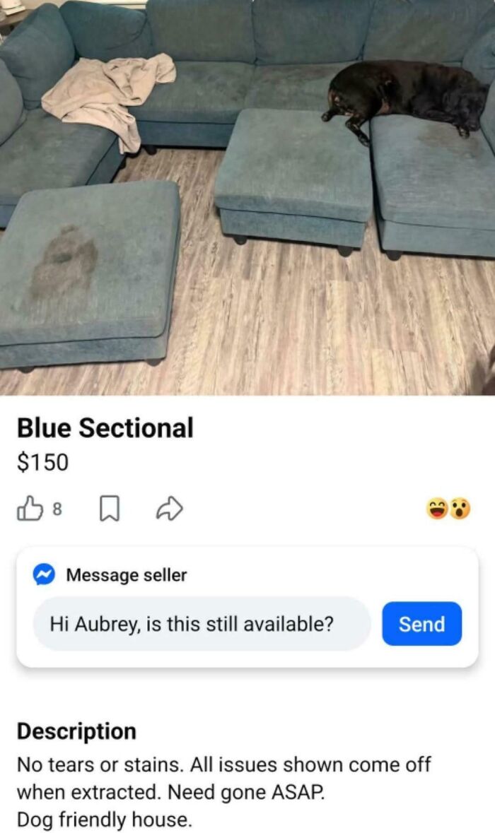 No Stains? Sure Thing!