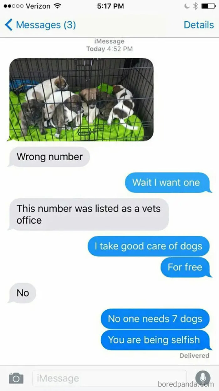 Wrong Number Hijinks Strike Again