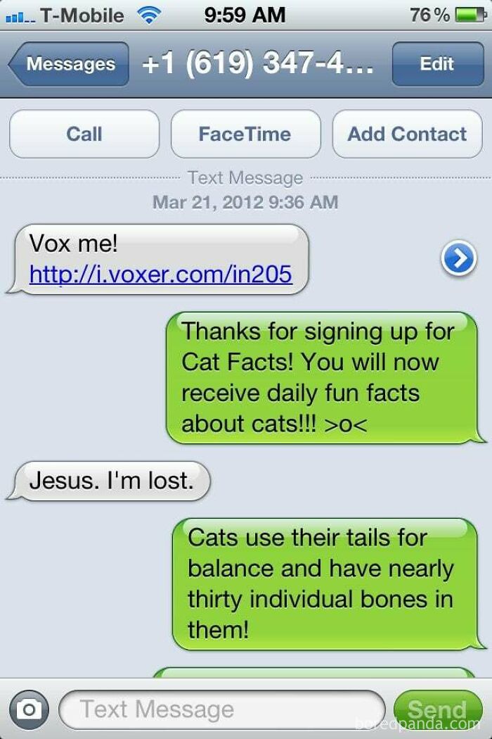I Absolutely Love Wrong Number Texts