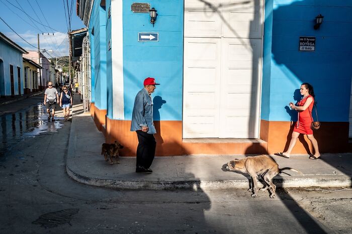 These 33 Pics Show Cats & Dogs Totally Owning Istanbul’s Streets