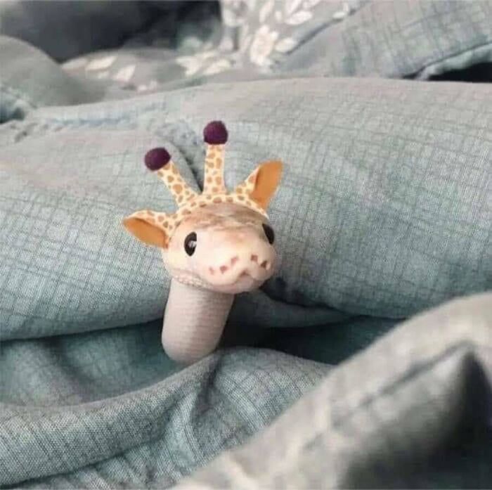 32 Animal Photos That Are So Good, We Swear They're Magic