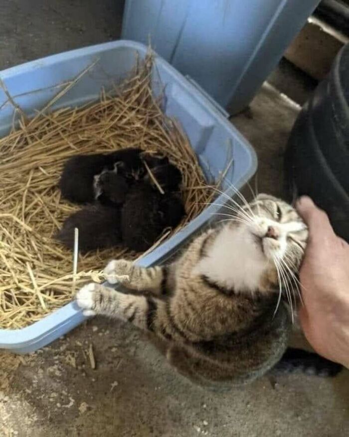 32 Animal Photos That Are So Good, We Swear They're Magic