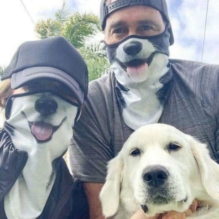 32 Animal Photos That Are So Good, We Swear They're Magic