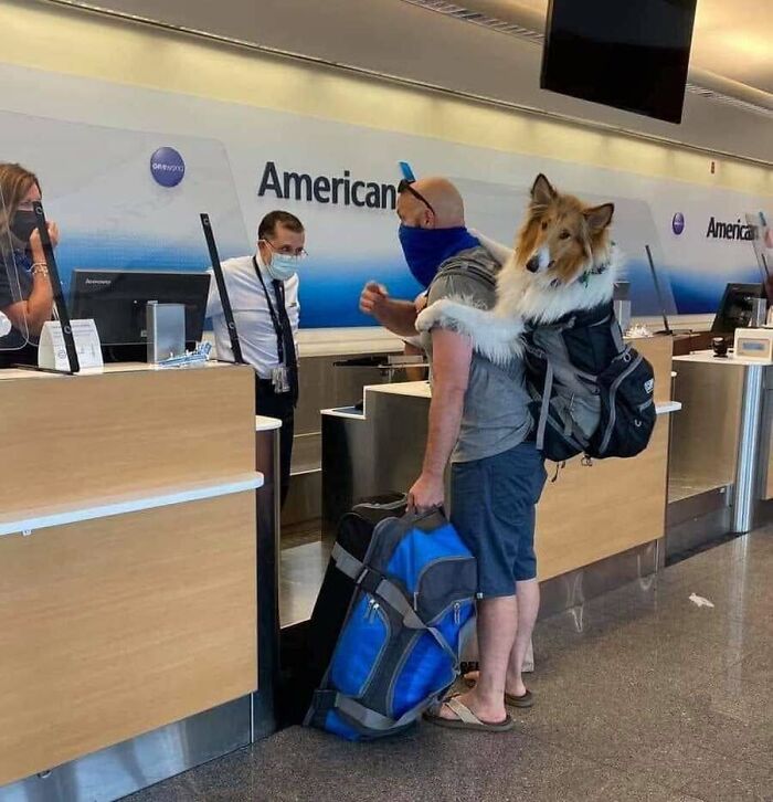 32 Animal Photos That Are So Good, We Swear They're Magic