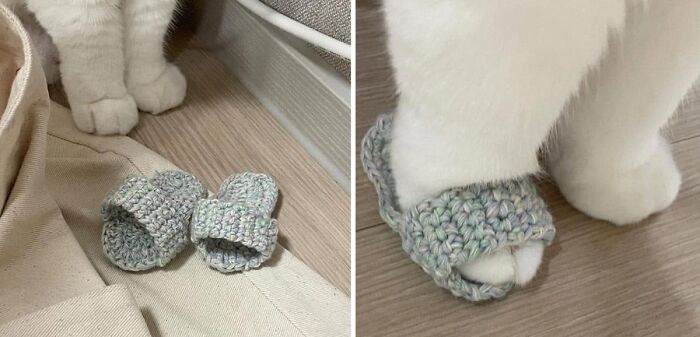 32 Animal Photos That Are So Good, We Swear They're Magic