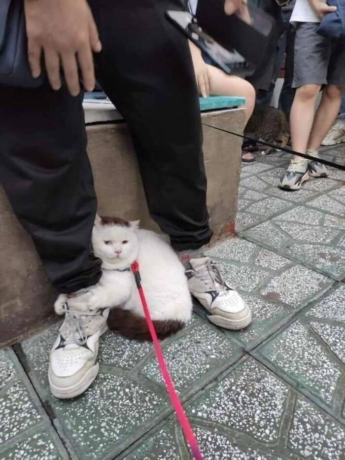 32 Animal Photos That Are So Good, We Swear They're Magic
