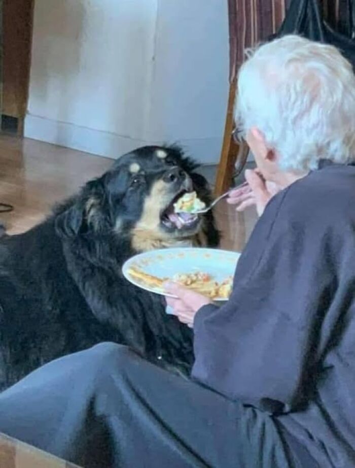 32 Animal Photos That Are So Good, We Swear They're Magic
