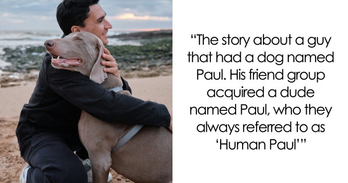 The Funniest Pet Names That’ll Make You Say, “Why Didn’t I Think of That?”