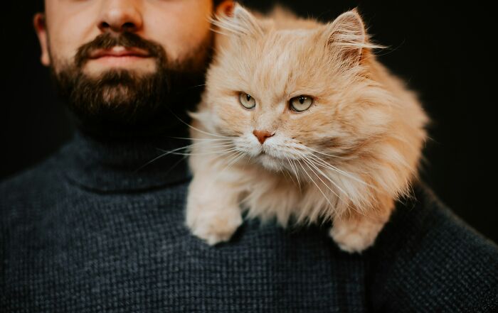 The Funniest Pet Names That’ll Make You Say, "Why Didn’t I Think of That?"