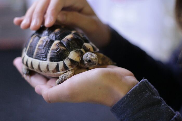 The Funniest Pet Names That’ll Make You Say, "Why Didn’t I Think of That?"