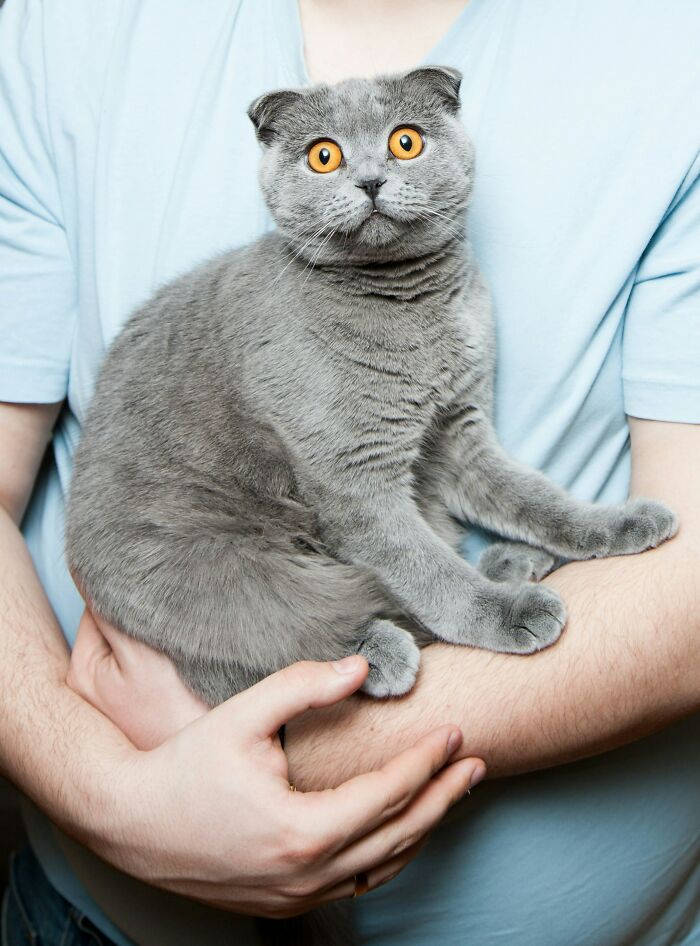 The Funniest Pet Names That’ll Make You Say, "Why Didn’t I Think of That?"