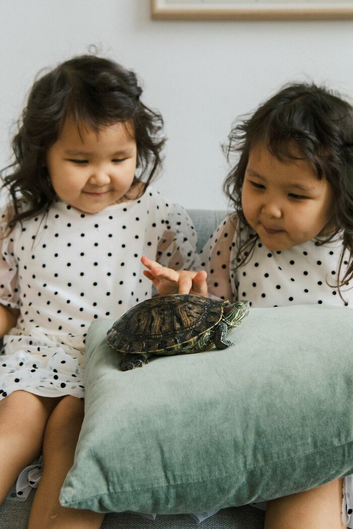 The Funniest Pet Names That’ll Make You Say, "Why Didn’t I Think of That?"