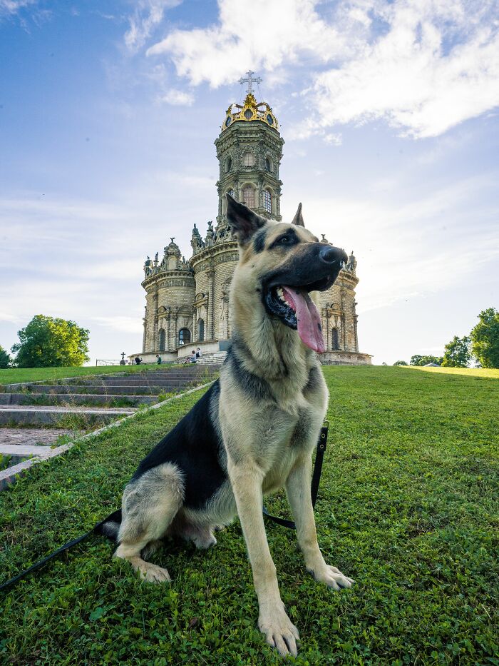 The Funniest Pet Names That’ll Make You Say, "Why Didn’t I Think of That?"