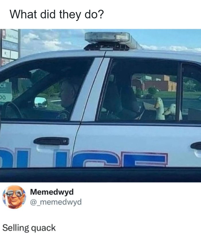 Wait, These Pop Culture Memes Are Next Level!