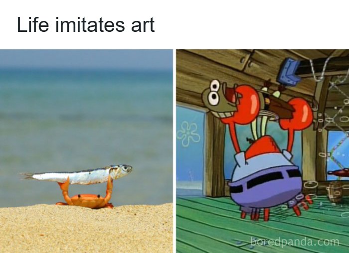 Wait, These Pop Culture Memes Are Next Level!
