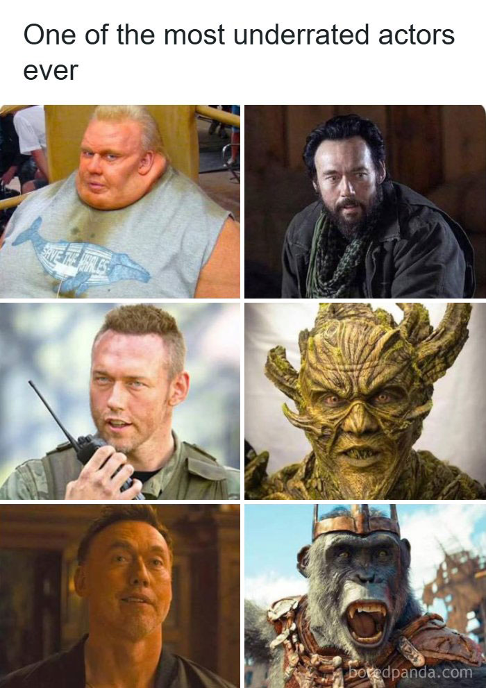 Wait, These Pop Culture Memes Are Next Level!