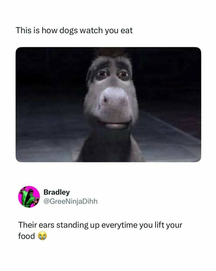 Wait, These Pop Culture Memes Are Next Level!