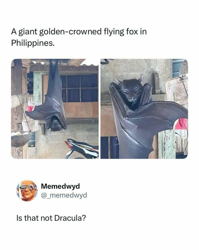 Wait, These Pop Culture Memes Are Next Level!