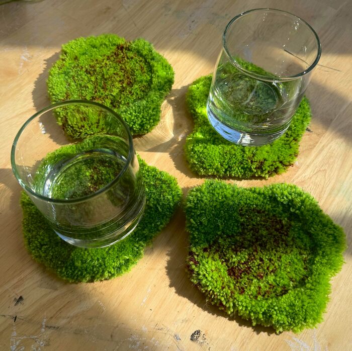 Homemade moss coasters. Because why should your drink rest anywhere less magical?