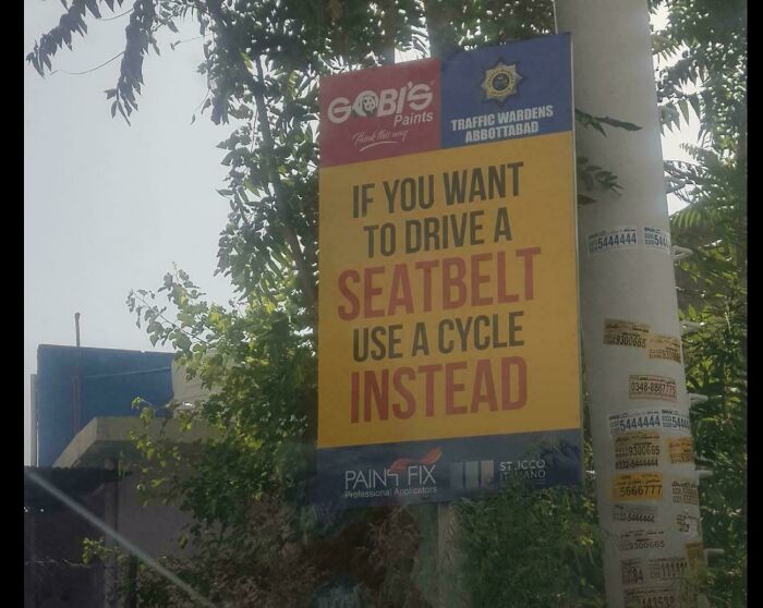 Me Personally, I Would Drive A Seatbelt - Rawr!